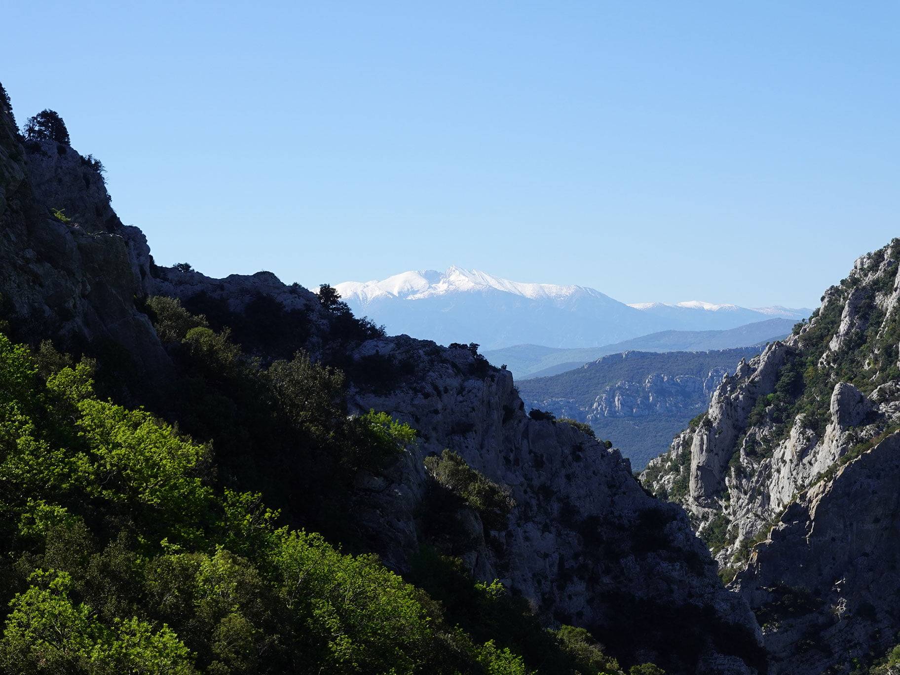 Les gorges de Galamus